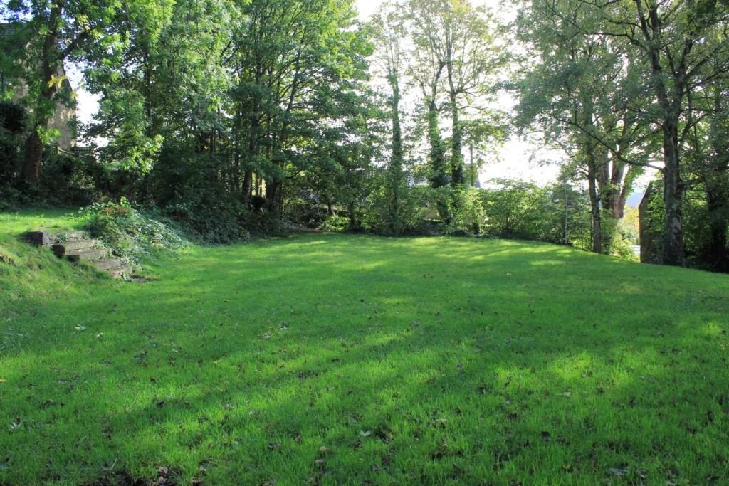 Back garden