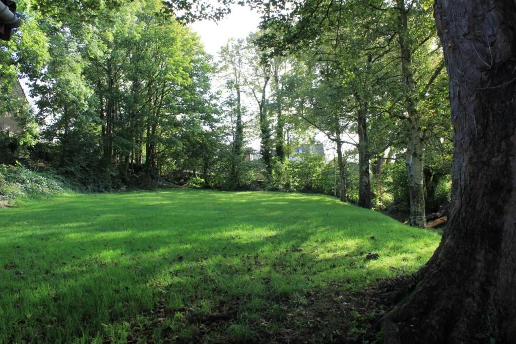 Back garden