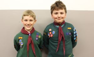 Silver Award Cubs